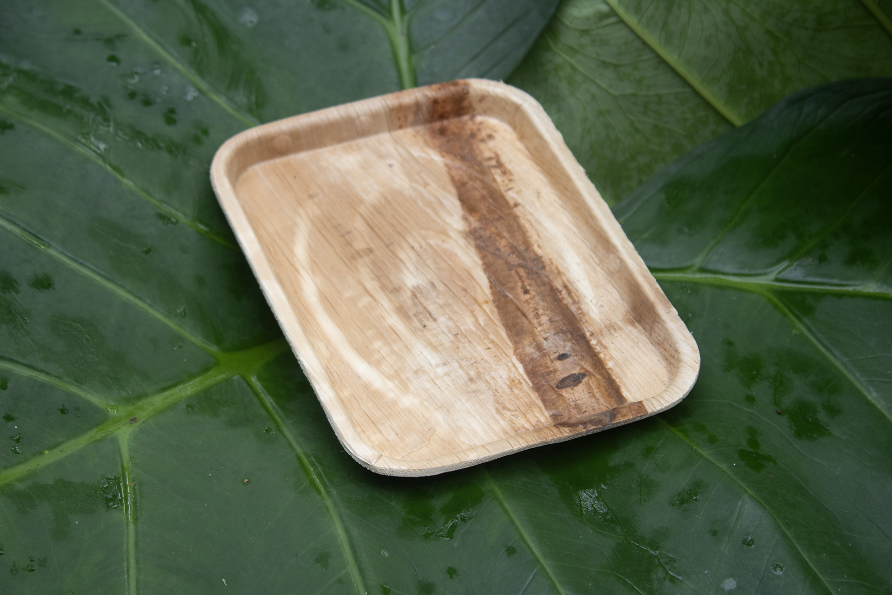 6 inch Square Plates