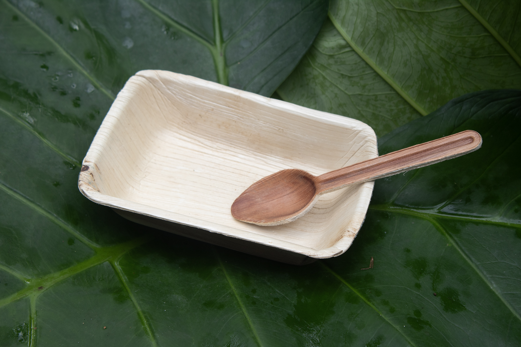 4 inch Square Plates