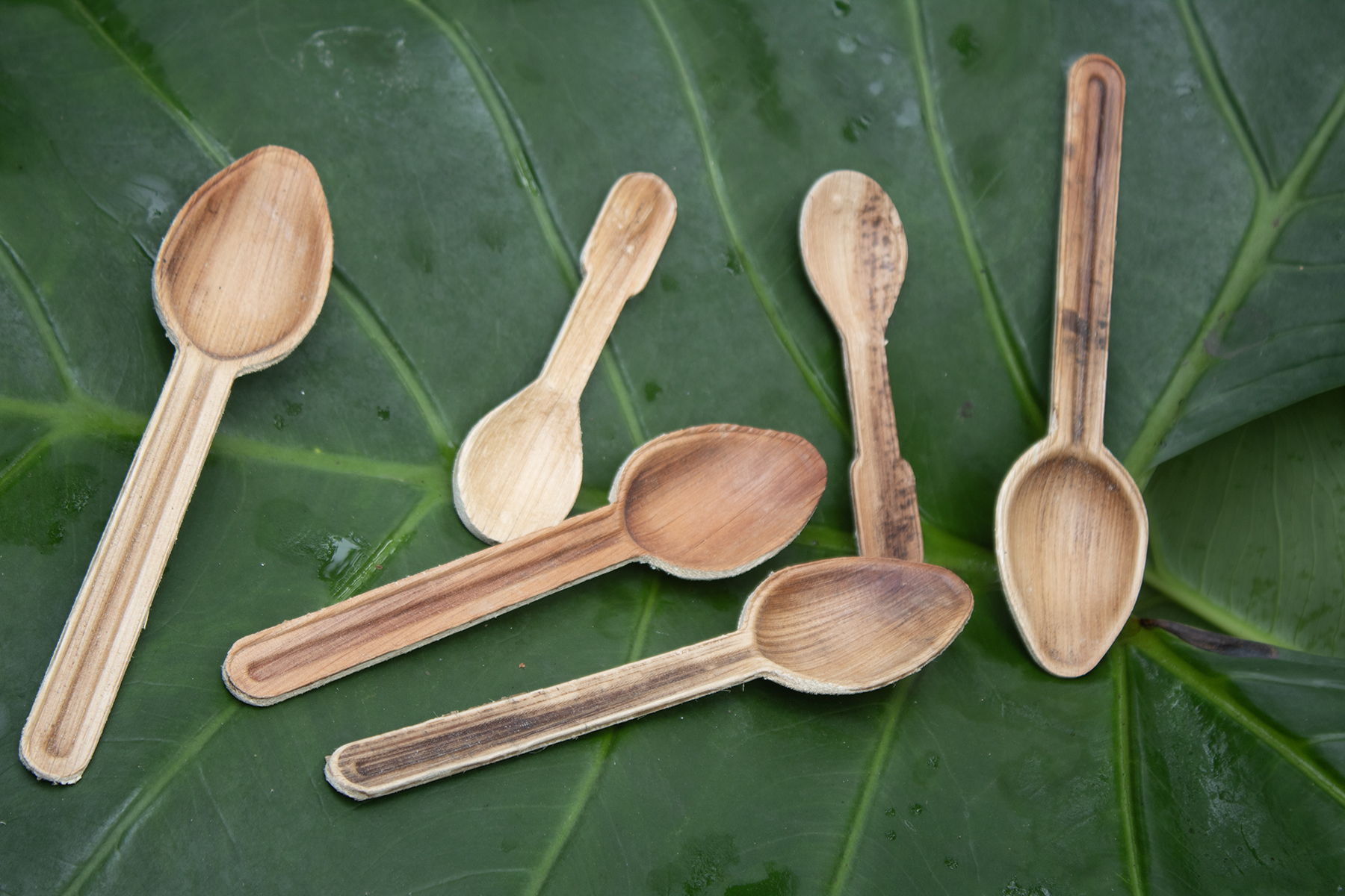 Spoon Set